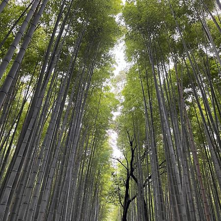 嵐山 天龍の宿 駐車無料 一棟貸切 最大5人 Dragon Legend Arashiyama Central Private Rare Modern Villa Free Parking Max 5Ppl Shimosaga Bagian luar foto