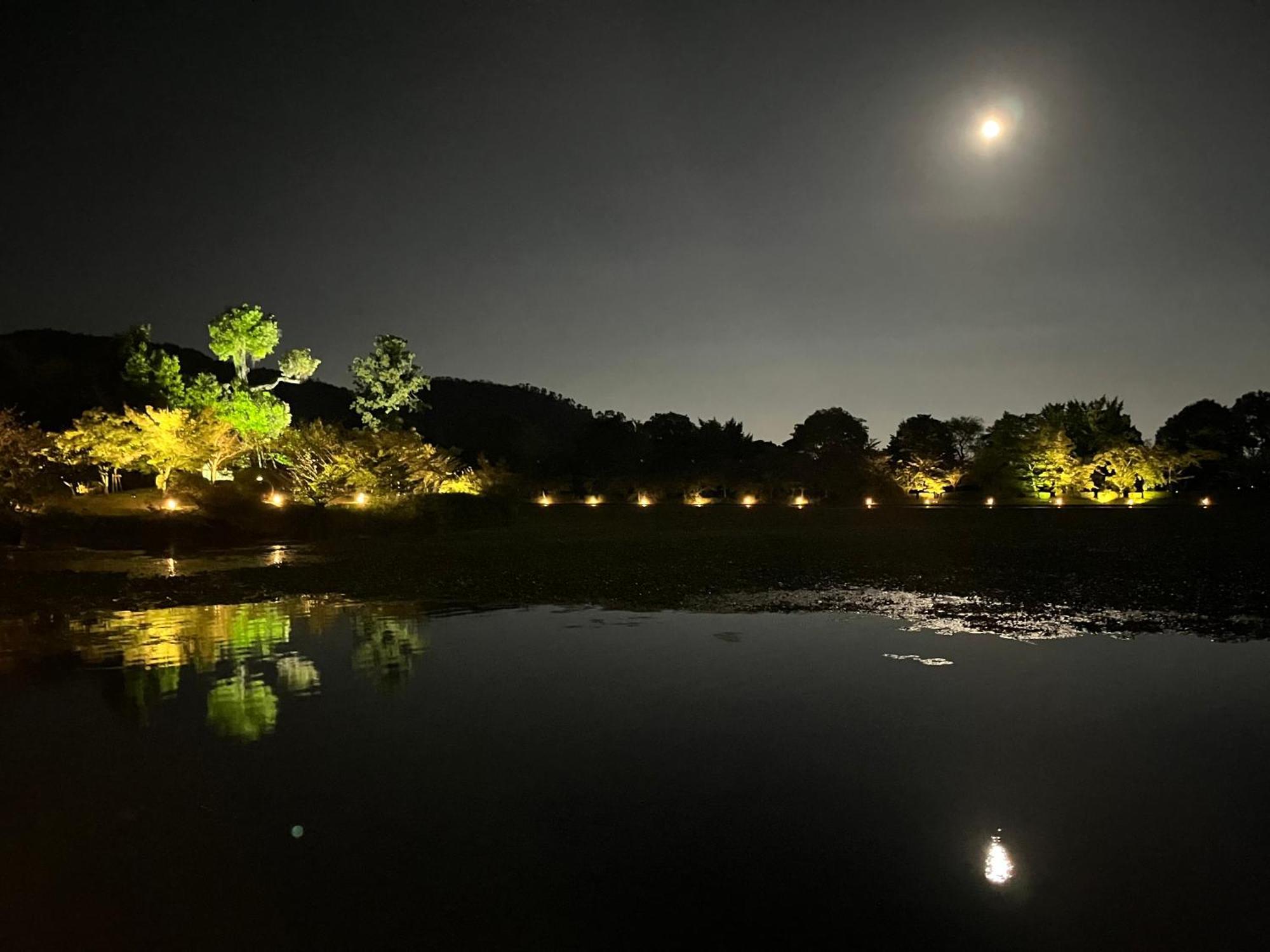 嵐山 天龍の宿 駐車無料 一棟貸切 最大5人 Dragon Legend Arashiyama Central Private Rare Modern Villa Free Parking Max 5Ppl Shimosaga Bagian luar foto