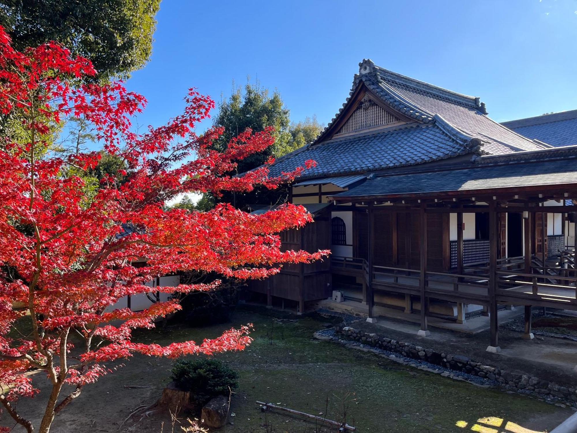 嵐山 天龍の宿 駐車無料 一棟貸切 最大5人 Dragon Legend Arashiyama Central Private Rare Modern Villa Free Parking Max 5Ppl Shimosaga Bagian luar foto
