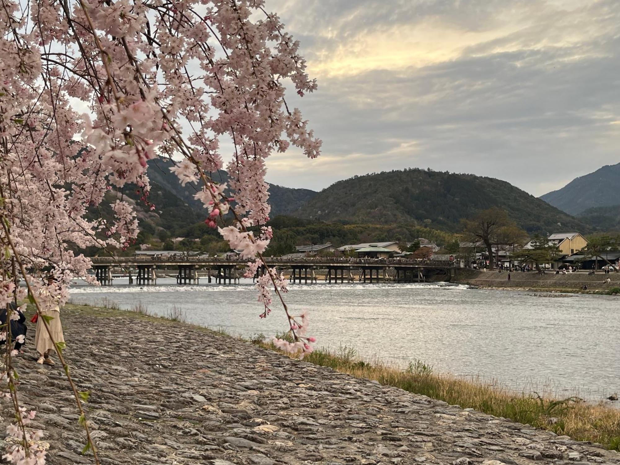 嵐山 天龍の宿 駐車無料 一棟貸切 最大5人 Dragon Legend Arashiyama Central Private Rare Modern Villa Free Parking Max 5Ppl Shimosaga Bagian luar foto